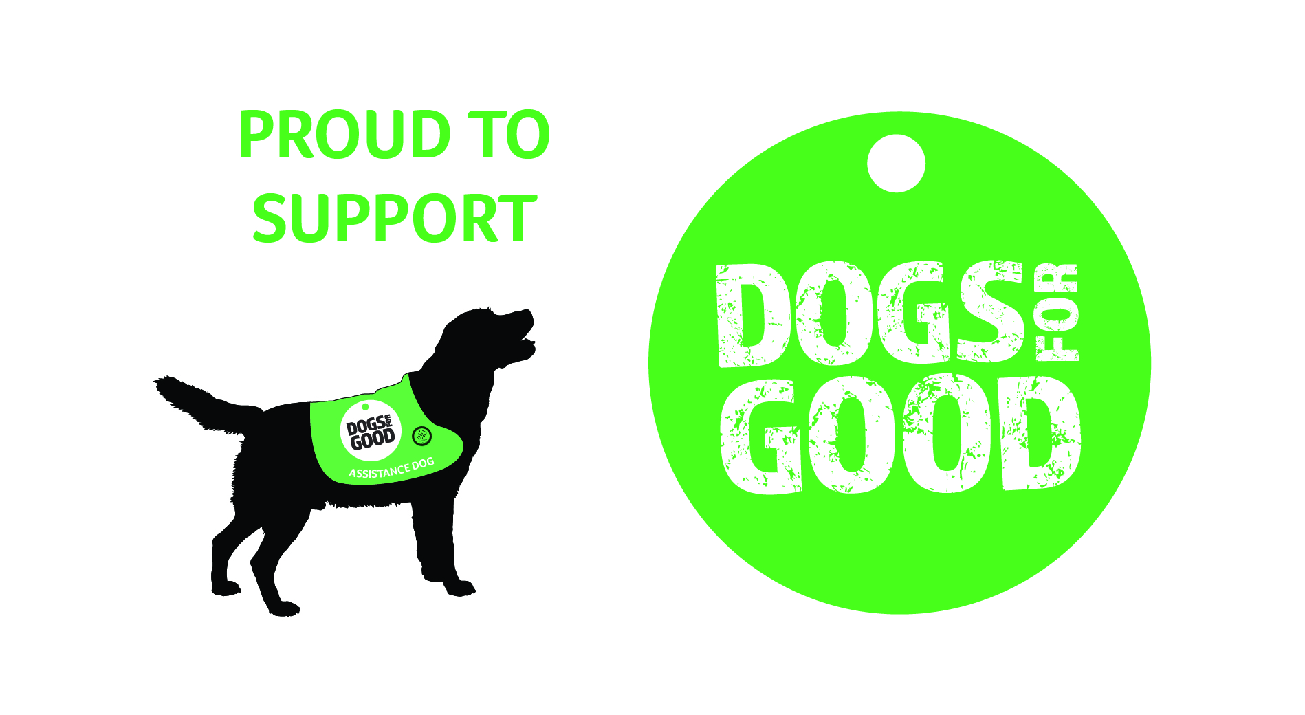 Axcis Annual Charity 2022: Dogs for Good